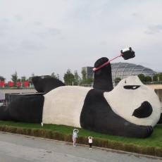豆奶战士