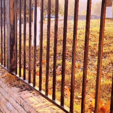 莫梦秋潭忆当年