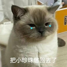 甜橙