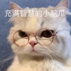 王王王，王大爷