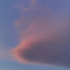 tuotuo