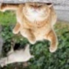 今天我学习了吗