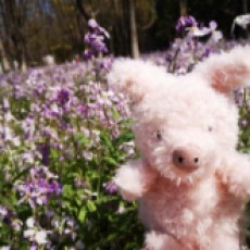 EdrawMax user profile image