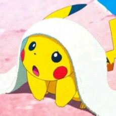 今天也要学习的皮卡丘