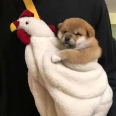 EdrawMax user profile image