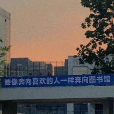 林杨