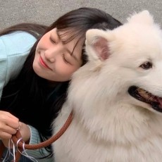披着床单的仙女（要上岸版）