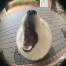 EdrawMax user profile image