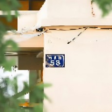 对你我没有胜算