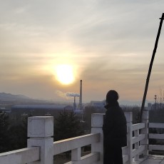 西西不吃海鲜