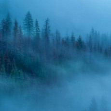 下雨的草灵灵