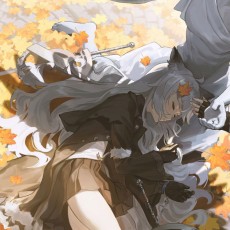 诗和远方