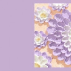 芒果