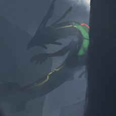 Rayquaza的小迷弟