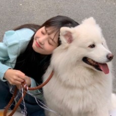 提子