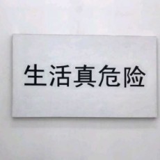 智泍