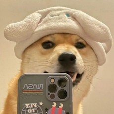 荒