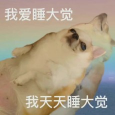 虫二