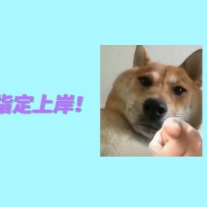 MMxdzN6B