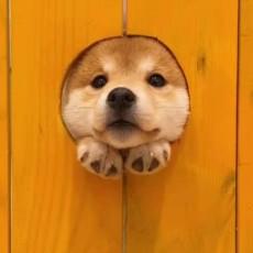 纪远
