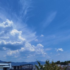 贾工