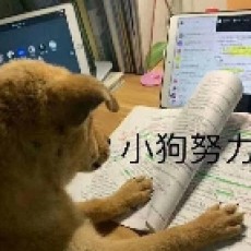 今天也要去学习