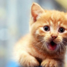 EdrawMax user profile image