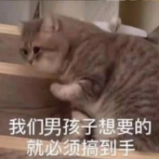早睡好青年