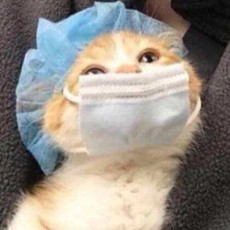 玛卡巴卡之神