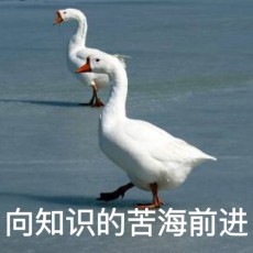 今天也想变富婆