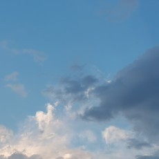 程雨