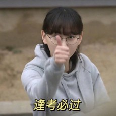 婉婷娅