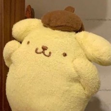 白云森林~