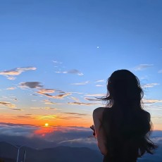 山茶