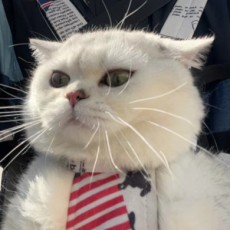 1111