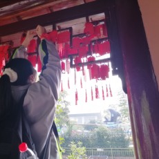 爱做导图的未来法师