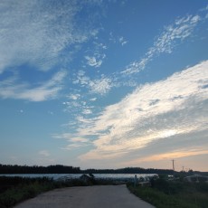 阳光灿烂