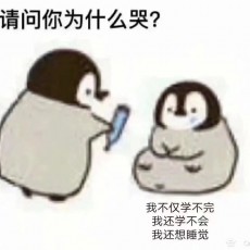 爬不上巨人的脚趾