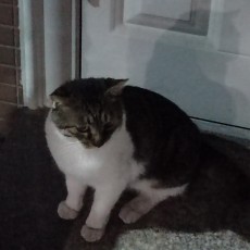侯cx他爹