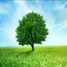 EdrawMax user profile image