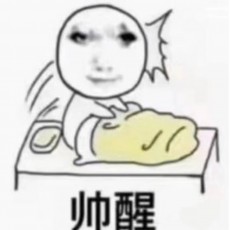 啥也不会