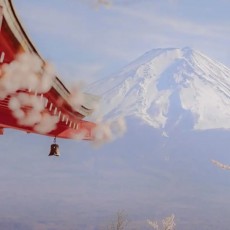 樱井荷风