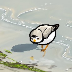 析万物之理