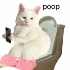 咕咕