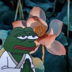 冲进一本的大楼！