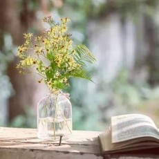 天父的医学小羊