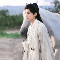 云朵小木槿