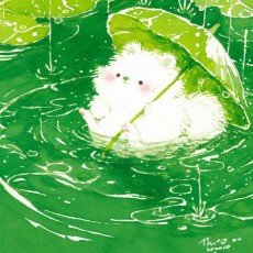 秋池听雨