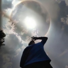 EdrawMax user profile image