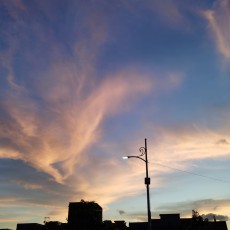 芈星尘